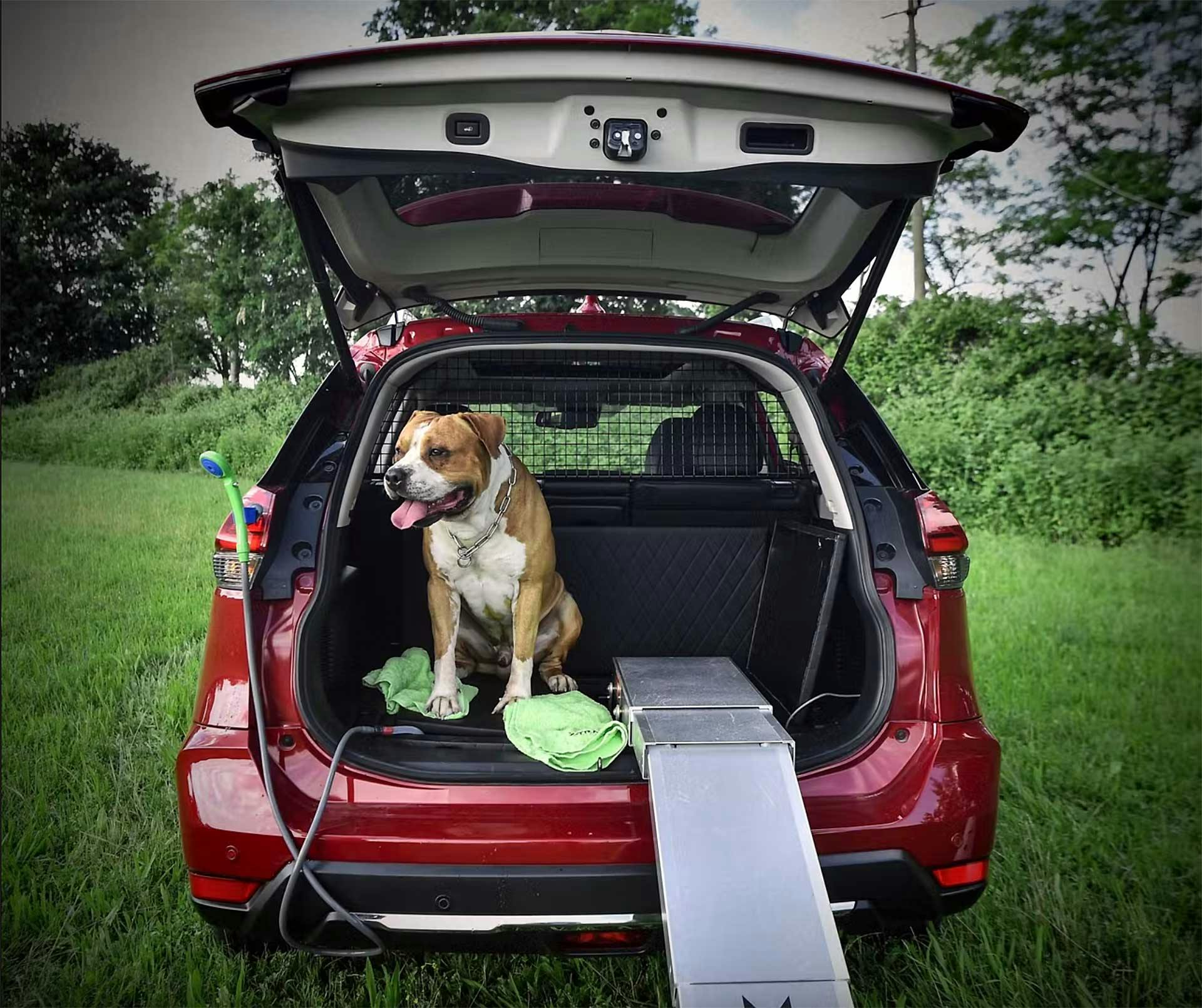 Nissan X-Trail Trainer auto per cani