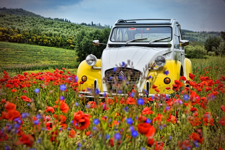 citroen-2cv-soleil-2018_0029