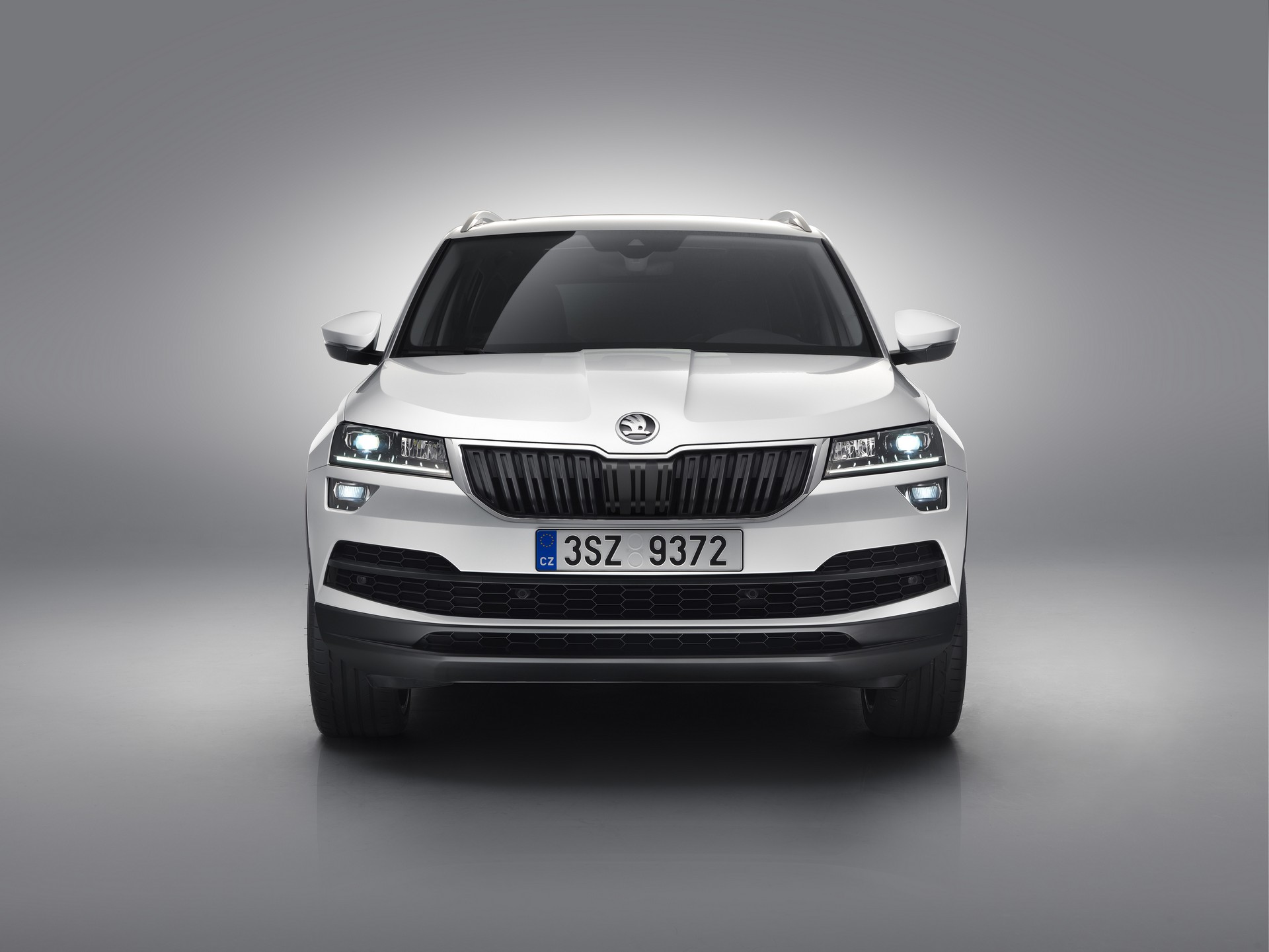 Skoda Karoq statica