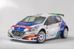 peugeot-campionato-italiano-rally-2018_015