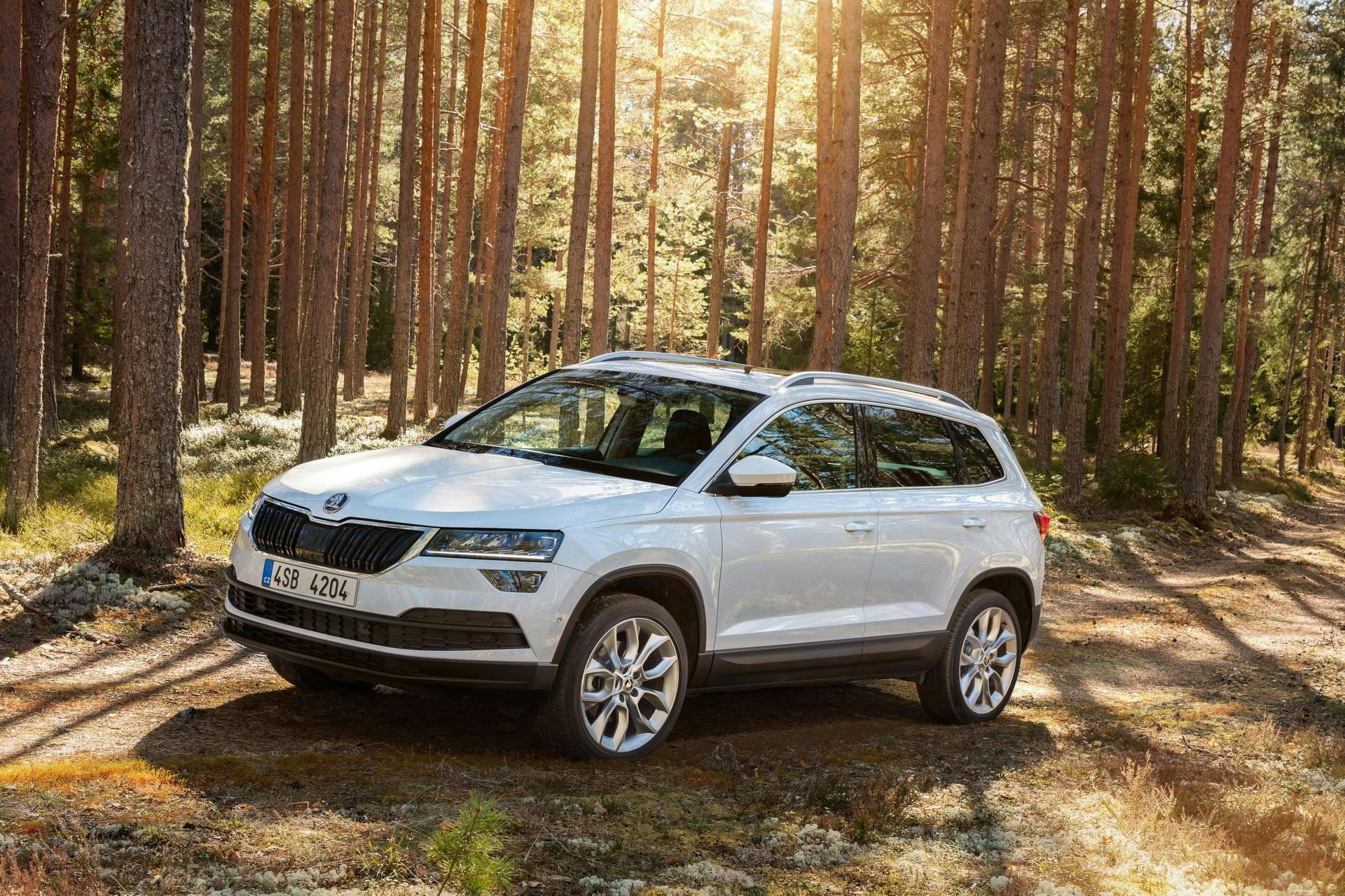 Skoda Karoq statica