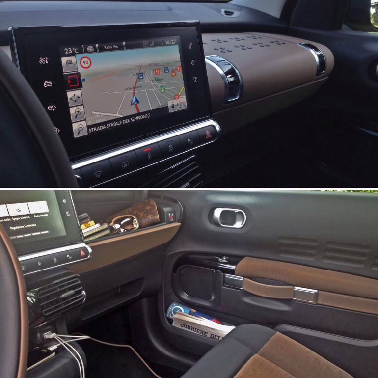 C4CactusPenna Rossa03