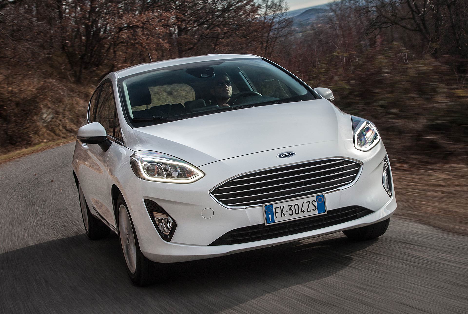 Ford Fiesta 1.5 TDCi Titanium in curva in paesaggio boscoso