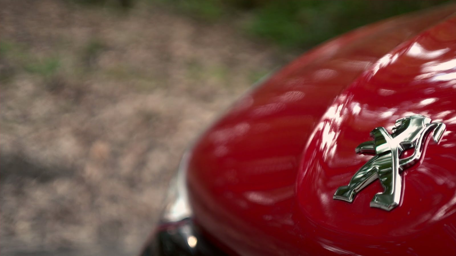 peugeot 208 black line dettaglio stemma