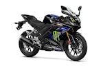 Yamaha-YZF-R125-Monster-006