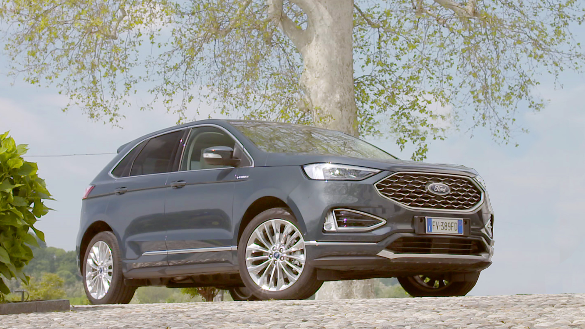 Ford Edge Vignale 2019 color grigio, fotografata sotto un albero