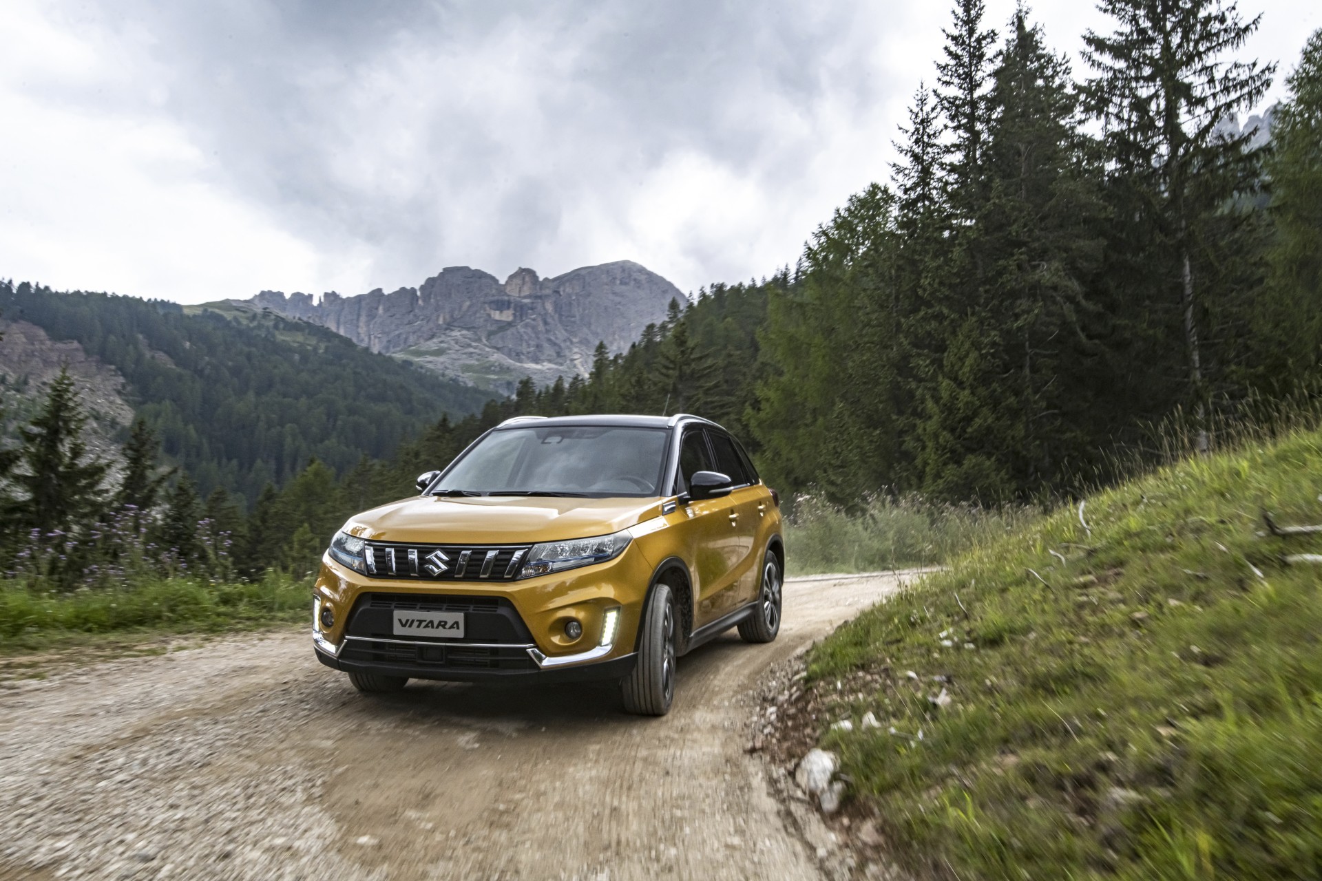 Suzuki-Hybrid-2020_00004