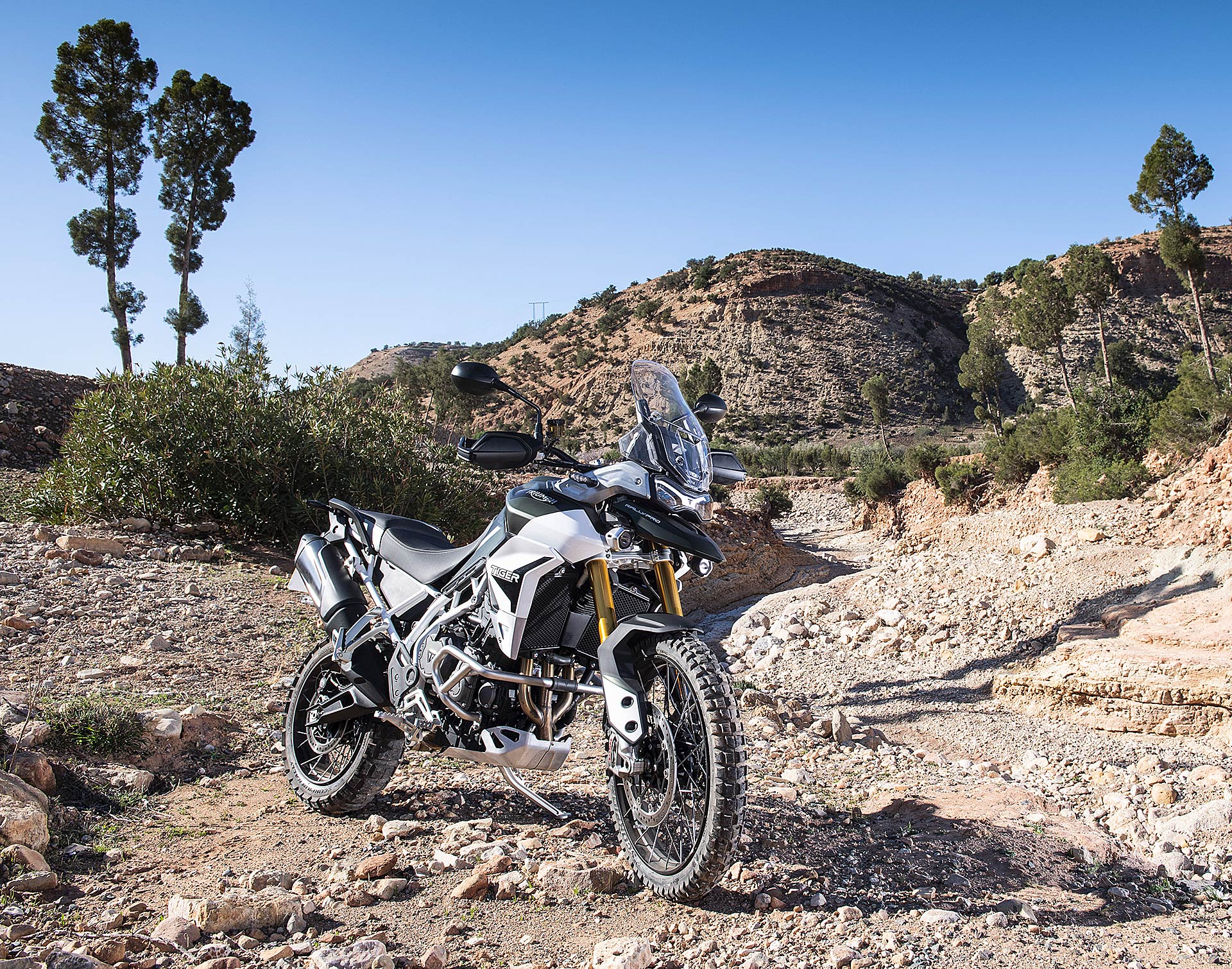 Triumph Tiger 900 Rally Pro