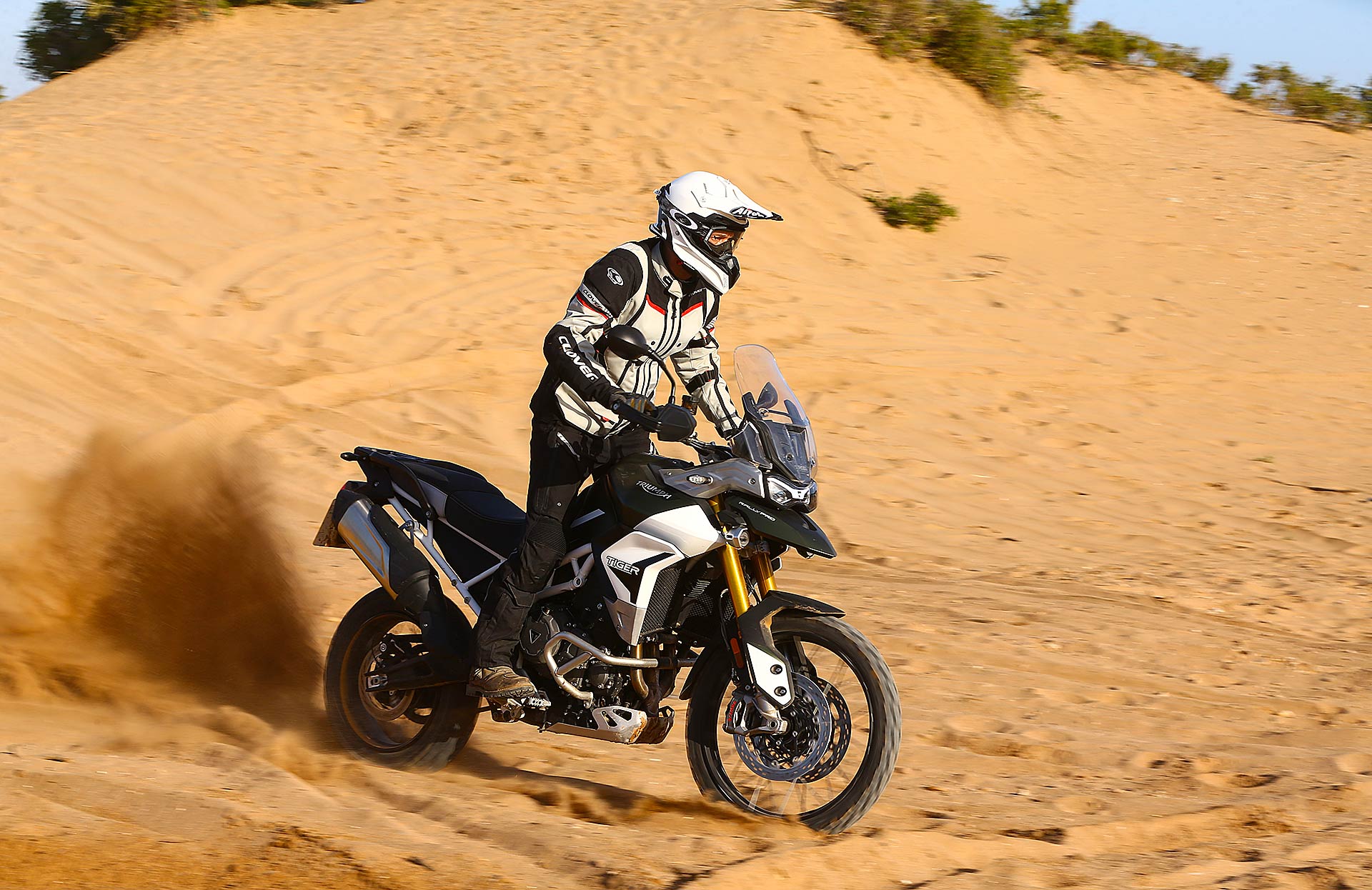 Triumph Tiger 900 Rally Pro