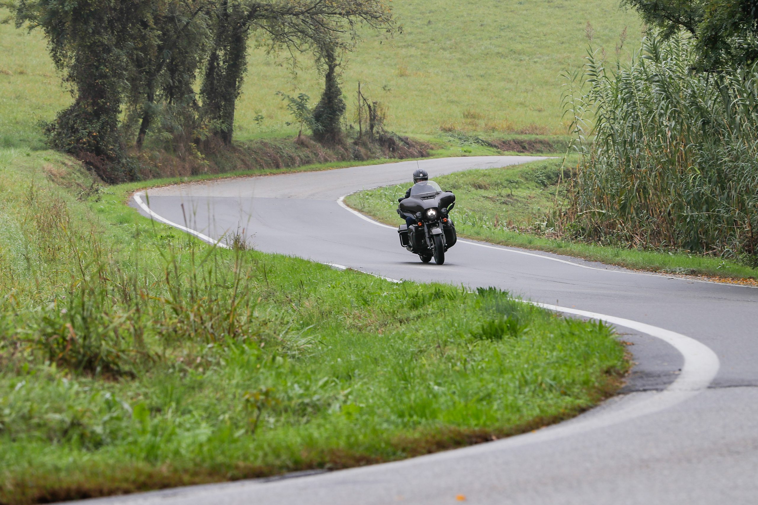 Simon Palfrader© HarleyDavidson