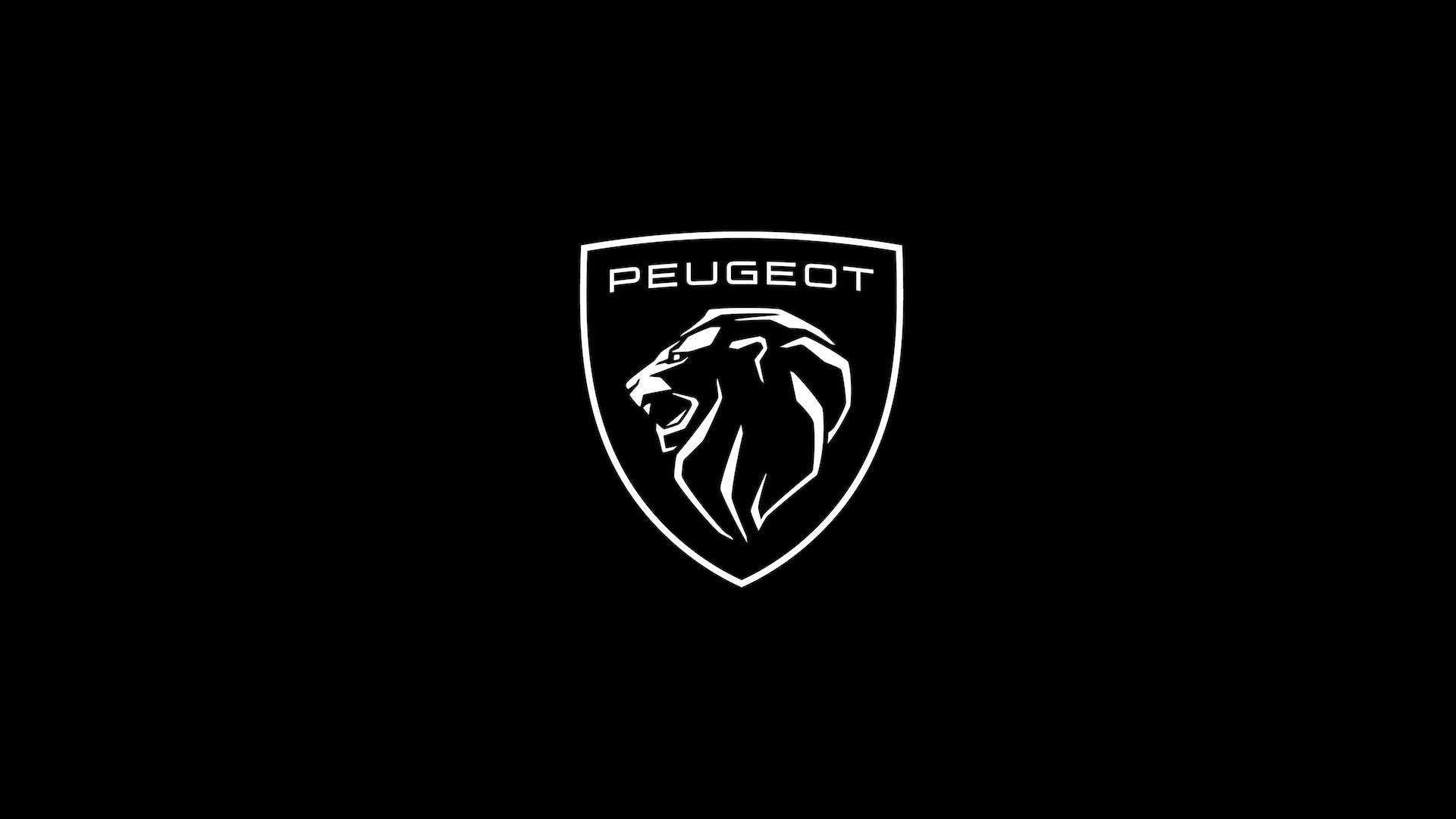 Peugeot logo sponge fixed