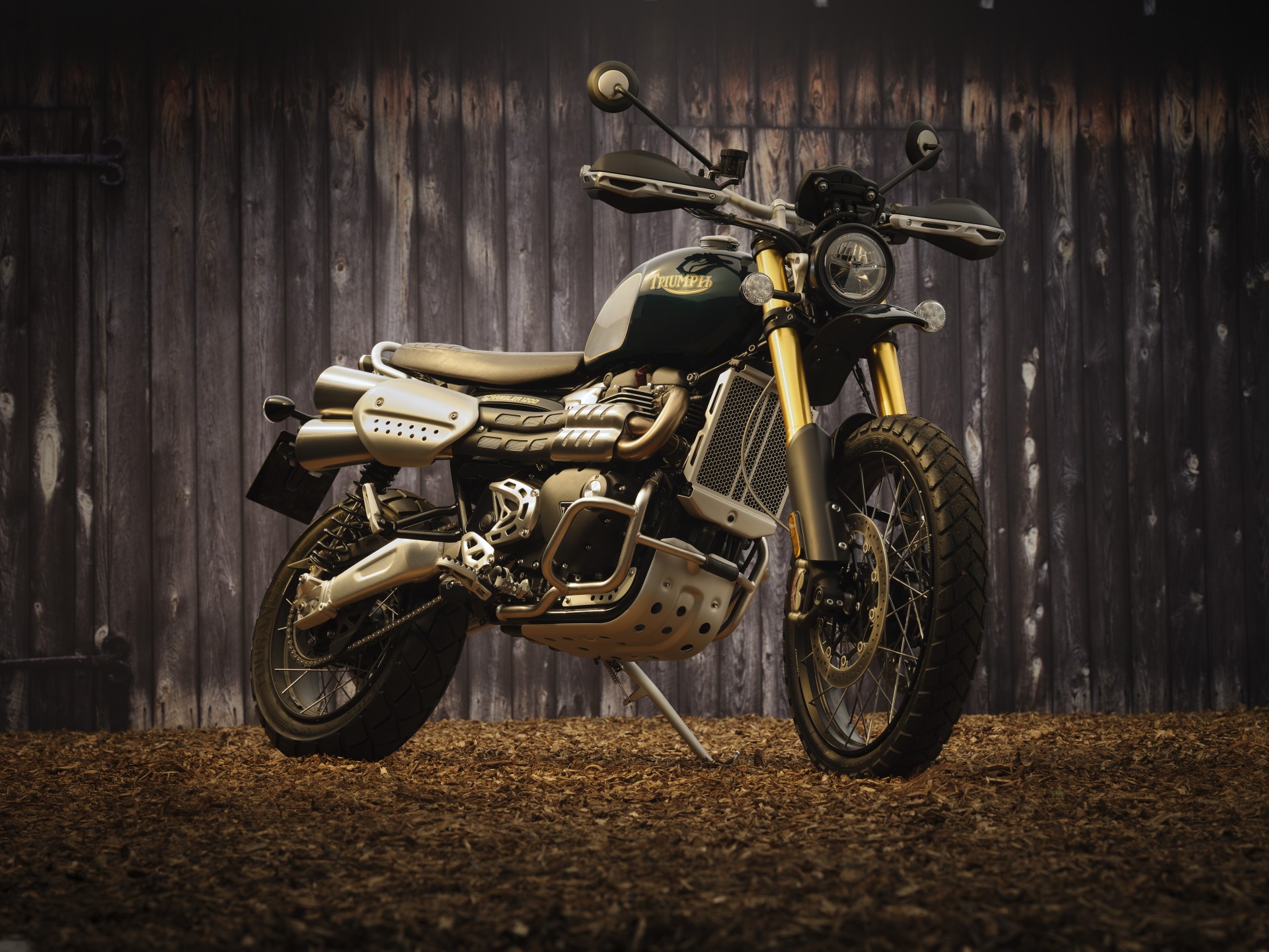 triumph scrambler 1200 steve mcqueen foto in studio tre quarti anteriore