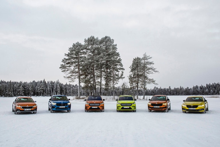 Gamma Skoda 4x4 trazione integrale