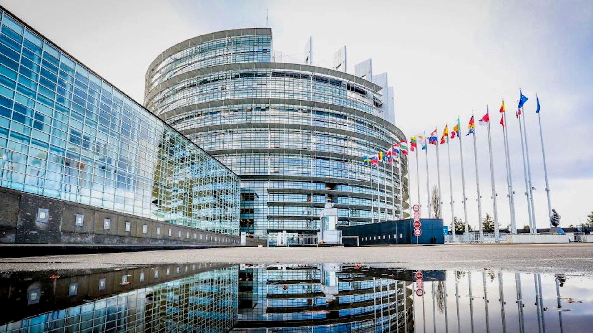 stop 2035 auto benzina e diesel, UE Strasburgo