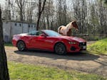 Ford Mustang GT Convertible 2025